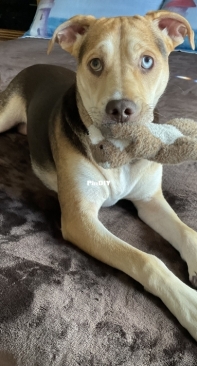Beautiful Sienna and her 2-colored eyes