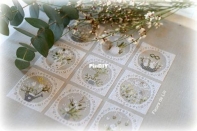 Fleurs de Lin -  Printemps Blanc