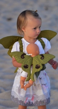 Twig + Tale - Luna Moth Wings - Mini