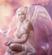 HAED HAEMAD 2097 Doves by Marta Dahlig