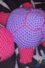 Turtle Evelyn