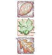 Dimensions 70-72647 Autumn trio-pat