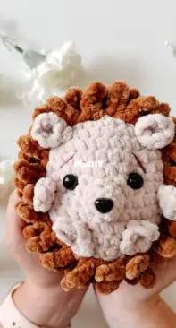 Double Dutch Crochet Company - Brianne and Jessica - Herbie Hedgehog