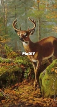 EstE 242 - Deer in the forest