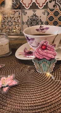 embroidery on plastic canvas