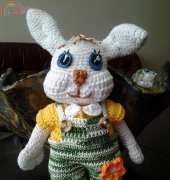 bunnys