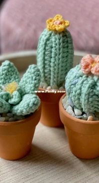 Cloud 9 Knots - Nicole Mansfield - Succulent and Cacti Minis Bundle