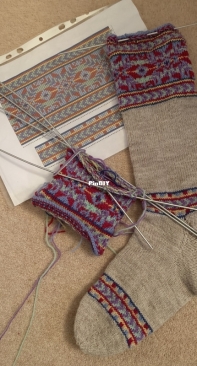 Norwegian Star Socks by Lesley Booth - Free