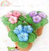 My flowers saintpaulia