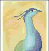 Peacock 2x