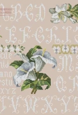 DMC XC1133 Lis Sampler - Sampler Lys