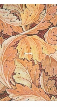 Golden Kite GK 798 Acanthus 2