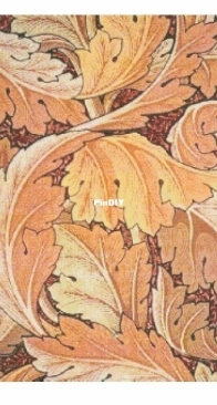 Golden Kite GK 798 Acanthus 2