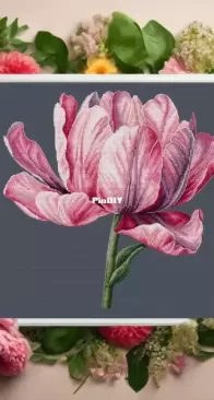 tulip by Anastasiia Yermakova