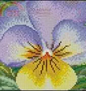 Thea Gouverneur TG 461 - Pansy