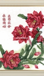 ZR - Золотое Руно - Zolotoe Runo TSK-012 - Miracle XSD