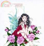 HAED HAELS 1051 2002 Fairy - Lee Anne Seed