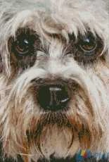 Goldmilky Cross Stitch - Dog Frank