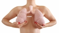 Frants Toys - Liza Frantseva - Lungs