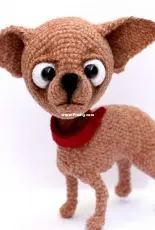 Elena Ermak  - Chihuahua