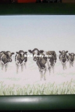 More cows !