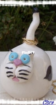 cat wearing ring