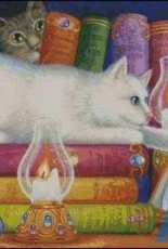 HAED HAERAS 147 The Well Read Cat by Randal Spangler XSD