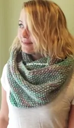 Winter Seeds Cowl by Margo Snyder-Free