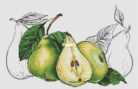 Pears by Evgenia / Evgeniya Poluektova