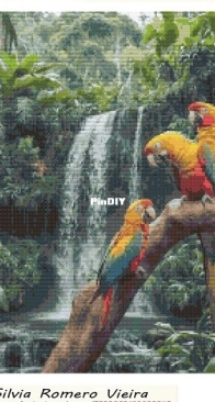 Parrots by Silvia Romero Vieira - Free