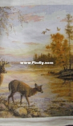 Two deers near a Lake.