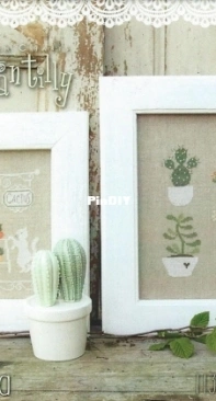 Madame Chantilly - Cactus Mania
