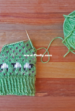 Sheep mittens