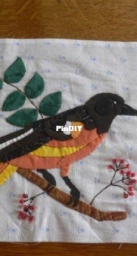 bird