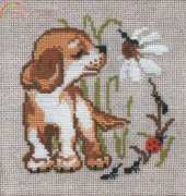 Riolis 672 Puppy