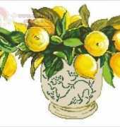 Lemons in a Vase