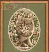 Heritage Stitchcraft JSTK303 Tabby Kitten by John Stubbs XSD