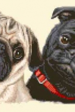 Portrait of 2 Pugs #PUG5 - by Jann Designs