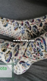 Cita Steinmeier socks