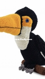 Círculo SA - Lizandra Cardoso - Toucan - Tucano - Portuguese - Free