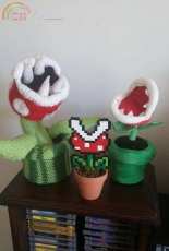 Mario Piranhha Plant
