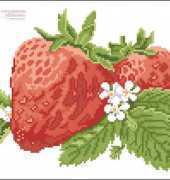 DMC - Strawberry