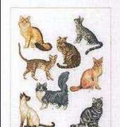 Permin 70-6402 Cat Breeds Kitty