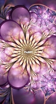 HEAD - HAEEWK 20210689 - Lepidolite - Elizabeth Welker - 2021