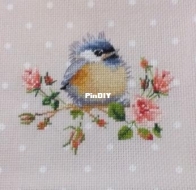 Second bird/Secondo uccellino
