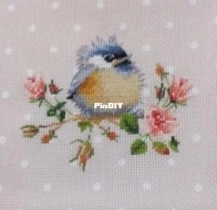 Second bird/Secondo uccellino