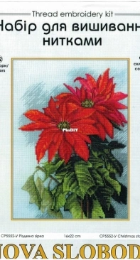 Nova Sloboda СР5552-y Christmas Star XSD