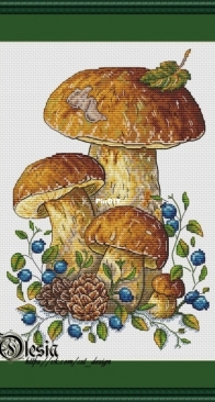 Mushrooms by Olesia Gavrilova