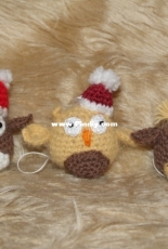 Baby Owls