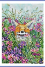 Fox by Anna Petunova